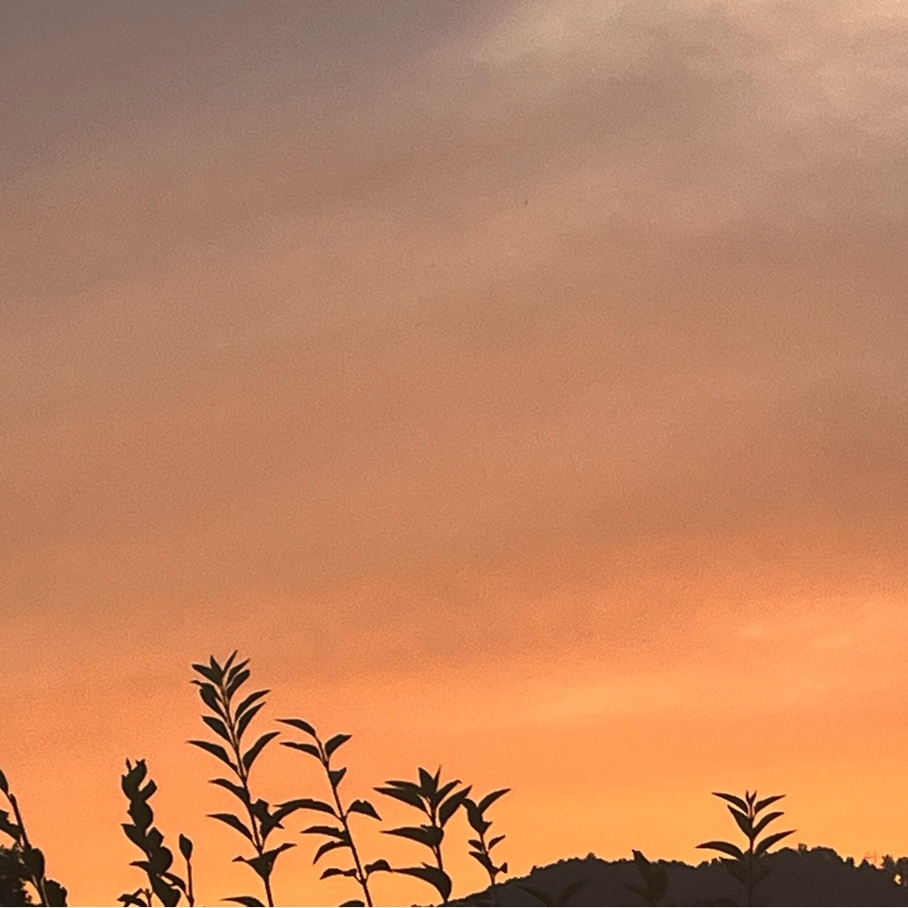 Meet your Posher, Khloe